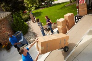 Need Professional Help With Your House Removals?